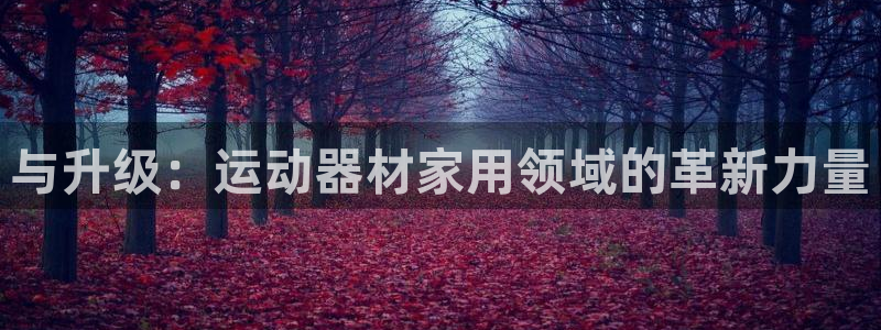 意昂4娱乐是那个系列的台子