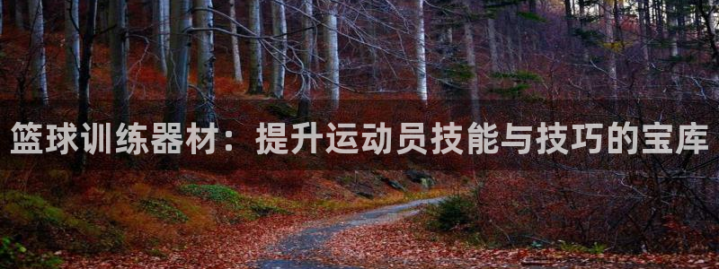 海南意昂体育4：篮球训练器材：提升运动员技能与技巧的