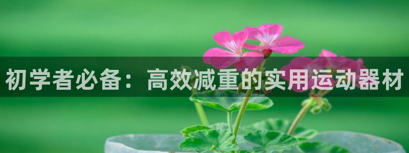 意昂体育4招商电话地址是多少：初学者必备：高效减重的实用运动