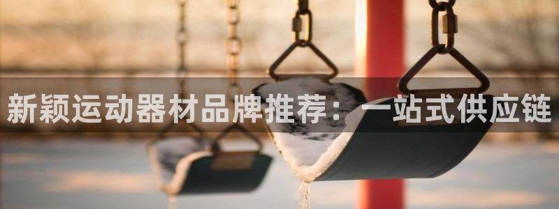 意昂平台体育：新颖运动器材品牌推荐：一站式供应链