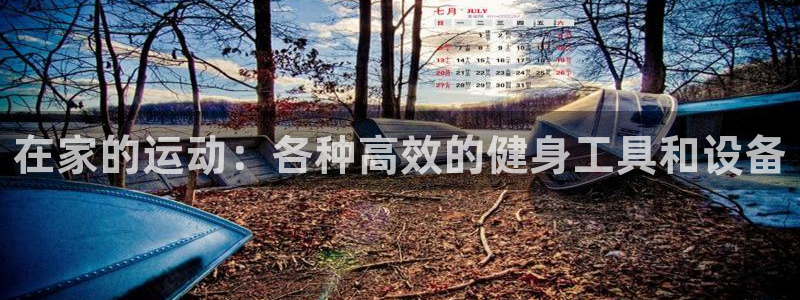 意昂4娱乐是那个系列的台子：在家的运动：各种高效的健