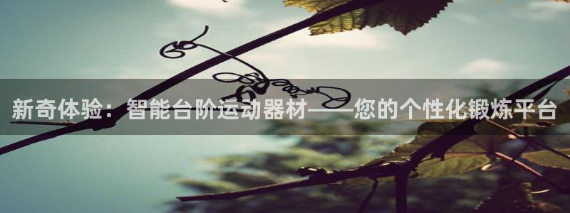 意昂体育4平台是正规平台吗安全吗：新奇体验：智能台阶