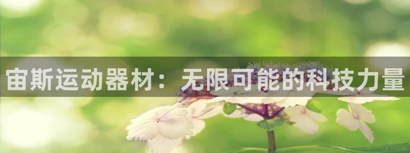 意昂体育4平台是正规平台吗知乎：宙斯运动器材：无限可