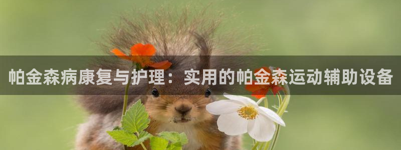 意昂体育4