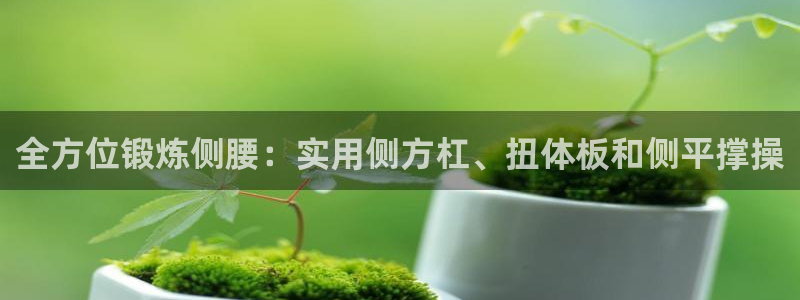 意昂体育4平台是正规平台吗：全方位锻炼侧腰：实用侧方杠、扭体