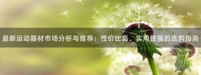 意昂4集团官网首页网址：最新运动器材市场分析与推荐：性价比高