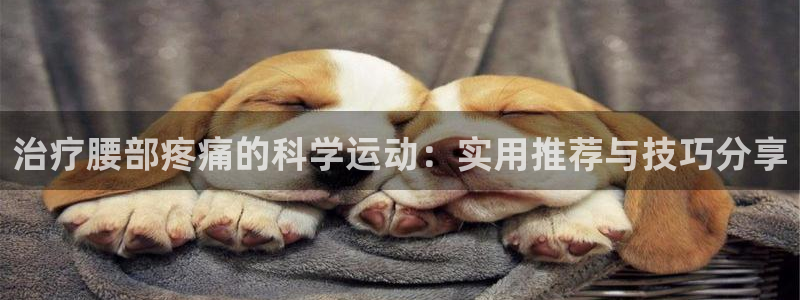 意昂4娱乐首页官网下载：治疗腰部疼痛的科学运动：实用